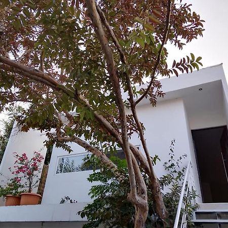 Casa Mango 3 Amplio Departamento Vila Río Verde Exterior foto