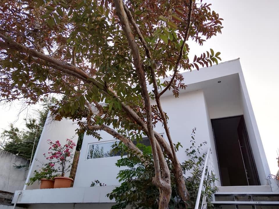 Casa Mango 3 Amplio Departamento Vila Río Verde Exterior foto